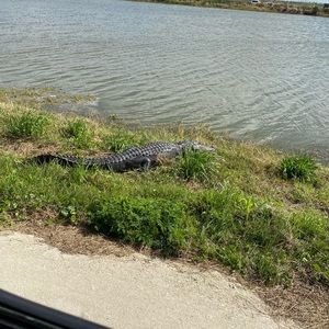 Meet your Posher, Wenyang